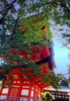 japon (138).jpg